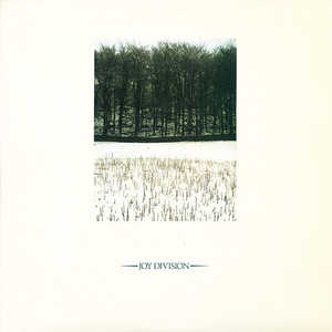 幼童打飞机黄片
